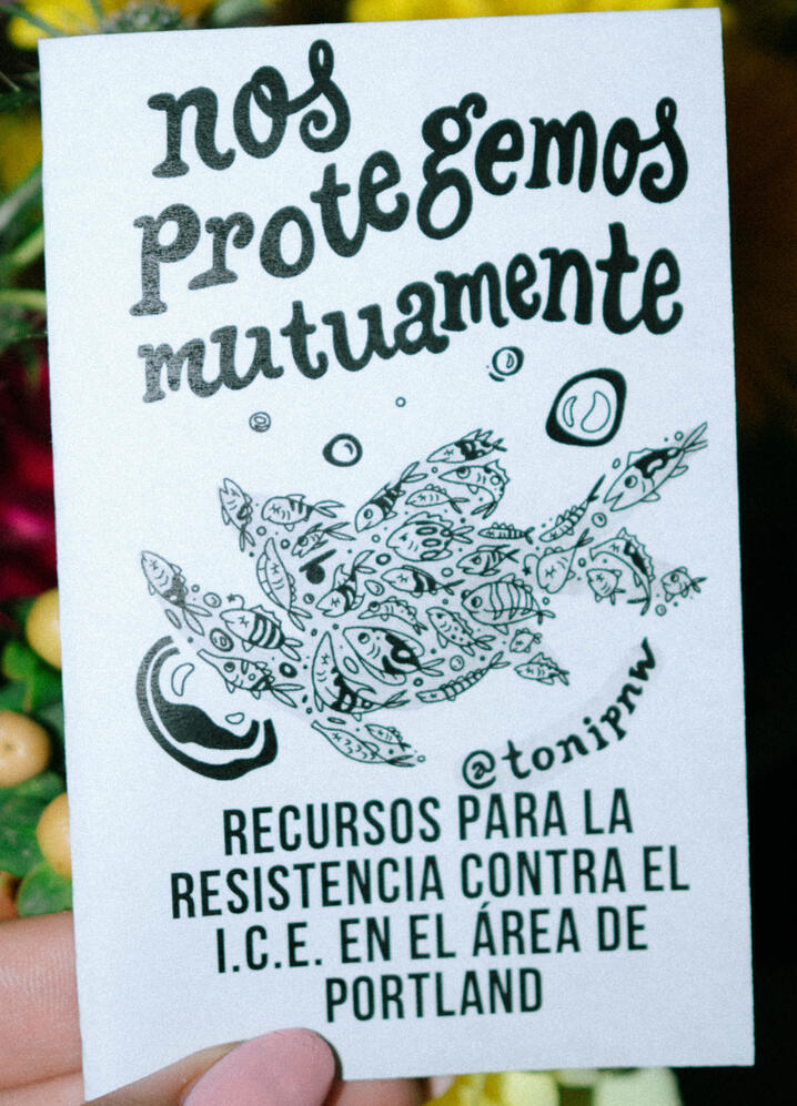 Untitled A photo of a zine cover depicting many fish making the shape of a larger fish with a serious look. This zine is titled "Nos protegemos mutuamente" and is the spanish version of "We Keep Us Safe"